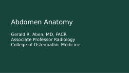 Abdomen Anatomy - Michigan State University